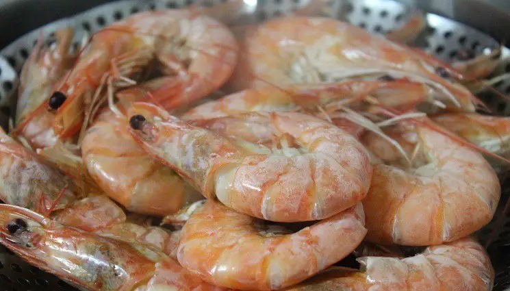 How To Reheat Shrimp 2