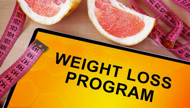 Optifast-vs-Medifast-vs-Wonderslim-vs-Optavia best-weight-loss-programs